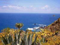 La Caleta