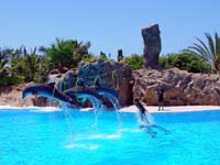 Loro Parque