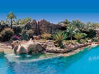 Tigers at Loro Parque