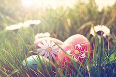 Easter Weekend Breaks in 2017 by Coach