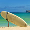 Surfing in Hawaii
