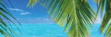 World Wide Holidays
