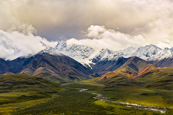 The Alaskan Tundra, Alaska, USA