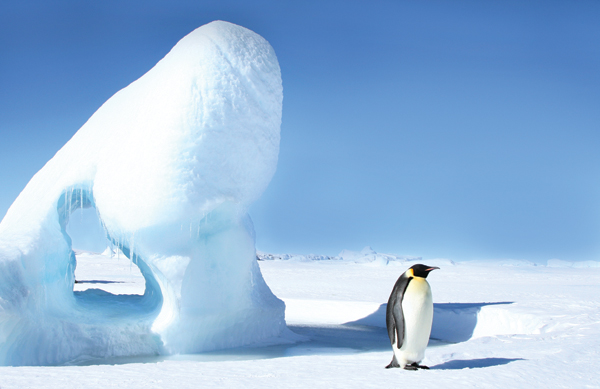 Antarctic Peninsula
