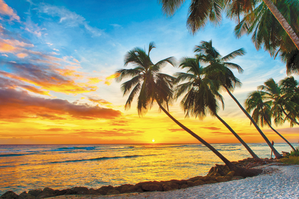 Caribbean