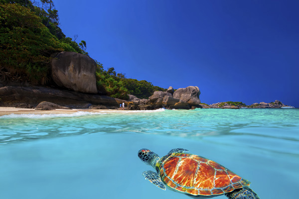 Similan Islands