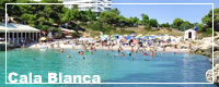 Holidays To Cala Blanca