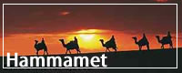 Holidays To Hammamet  - Tunisia 