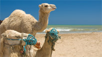 Tunisia Holiday Deals