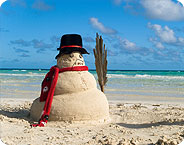 HolidayShed