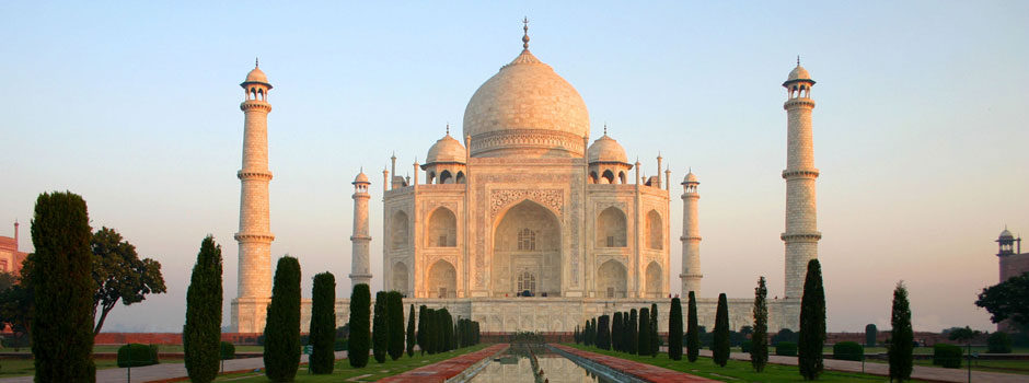 Banner Image 1