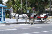 Old Town Marbella