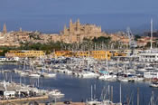 View of Palma Cathedral & Yachting Marina