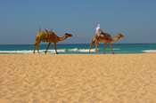 Sharm el Sheikh Holidays