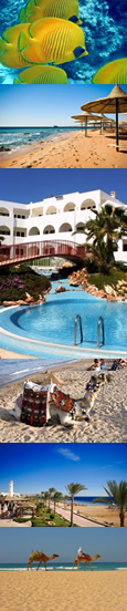 Red Sea resorts hotels & holidays
