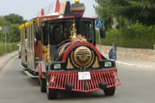Local transport! Local transport