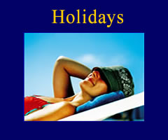 Holiday options