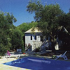 Olive Grove House