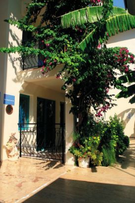 Bal Apartments