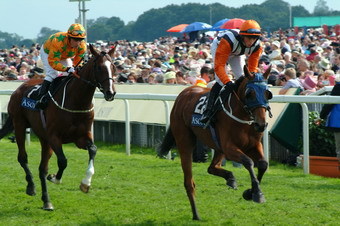 Horse Racing General 05