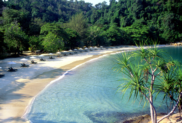 Brochure Image