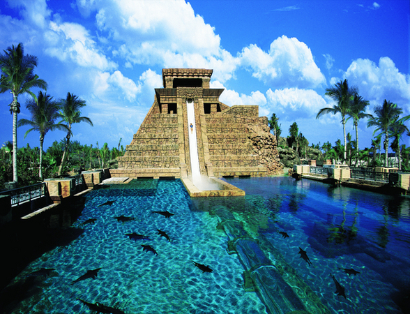 Brochure Image