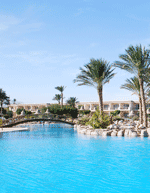 Discount Holiday