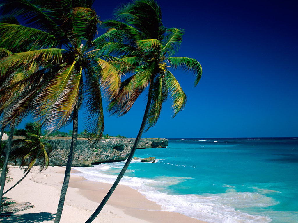 barbados landscape