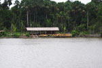 Amazonian hut