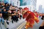 Far East Cruises