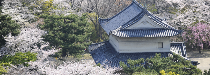 Japón