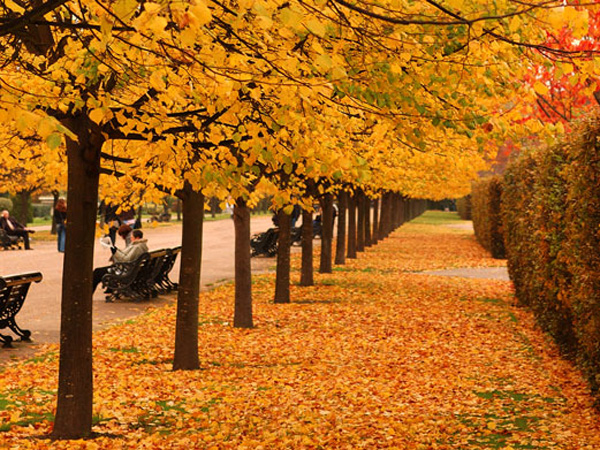 Fall